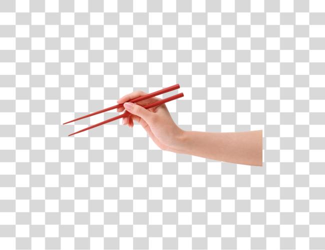 Download Hand Holding Chopsticks Clip Art