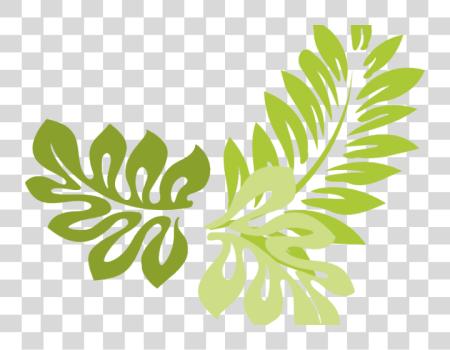 下载 繪製 Leaves 叶子 Border Leaves Border 設計 PNG file