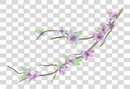 下载 花 Vectors 各种各样的 Photo 紫色 Flowers 矢量 PNG file