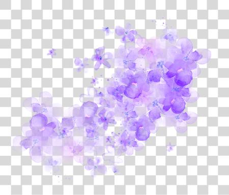 下载 樱桃 Blossom 水彩 花 Watercolour Flowers 紫色 PNG file