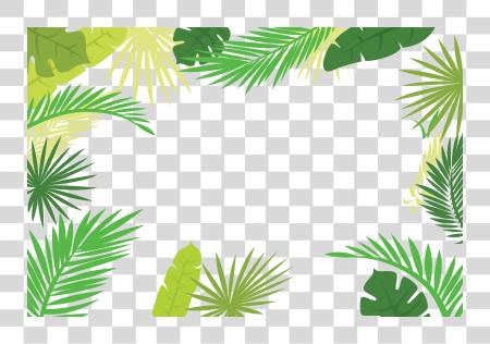 Download Leaf Text Illustration Arecaceae Palm Branch Border Palm Leaves Border PNG file