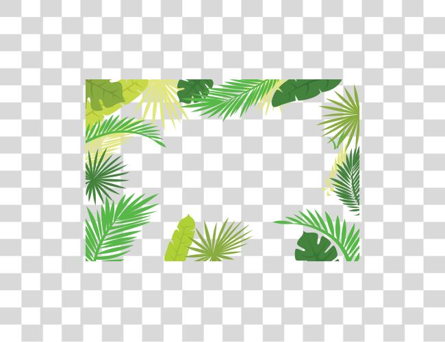 Download hoja texto ilustración Arecaceae Palm rama Border Palm hojas Border Clip arte