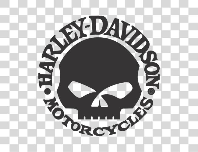 Download Harley Davidson Logo Skull Harley Davidson Logo Skull Clip Art