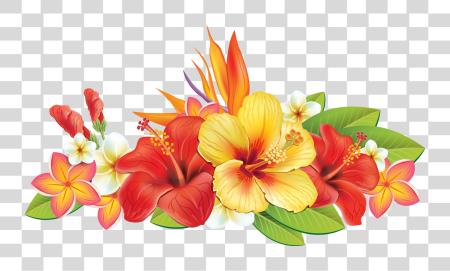 下载 0 A04cb 8beba5ab Orig Tropical Flowers Border PNG file