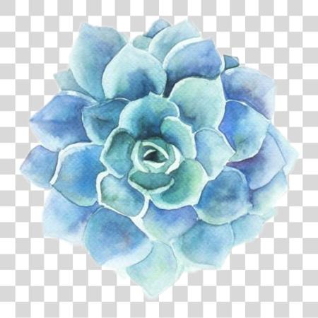 Download Tumblr Blue Flower Blueflower Library Stock Succulent Watercolor PNG file