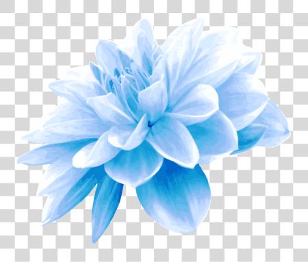 Download Aqua Blue Flower Blue Flowers PNG file