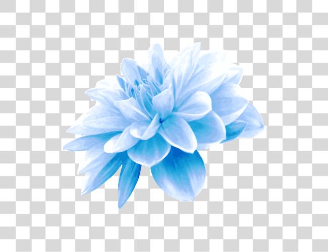 Download agua azul flor azul flores Clip arte