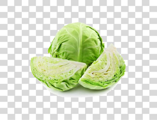 Download Cabbage Patta Gobhi Clip Art