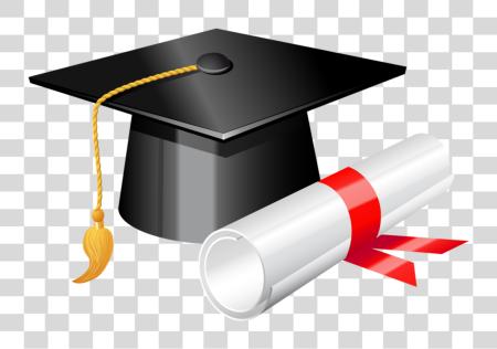 Download Graduation Cap With Diploma 375 Holly Graduation PNG file