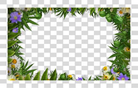 Download Flower Frame Border With Green Leaves Flower Frame PNG file