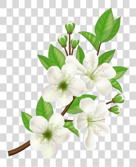 Download Royalty Computer Icons Flower White Flower Vector PNG file