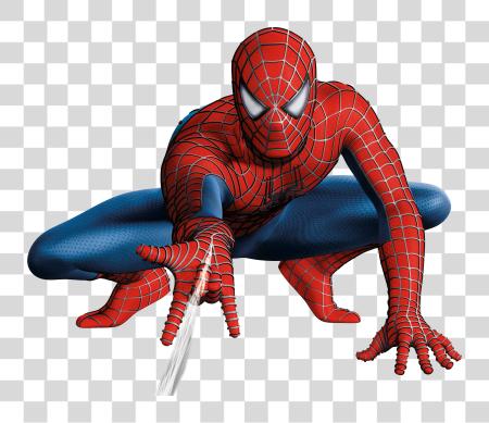 Download Raimi Spiderman Spiderman PNG file