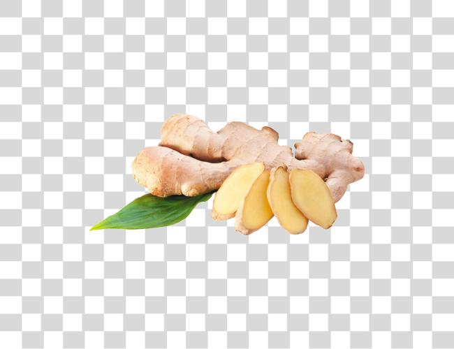 Download Ginger Clip Art