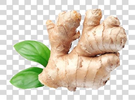 تحميل Ginger صورة Ginger بي ان جي ملف