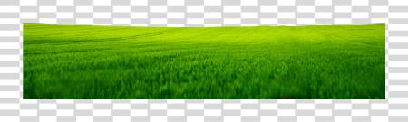 Download Land verde Land PNG file