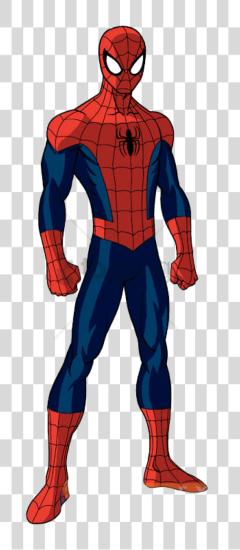 Download Hombre Araa Parado Image With Spectacular Spider Man Amazing PNG file