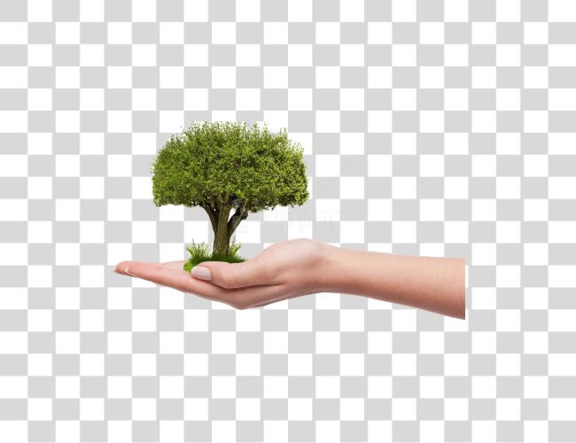 Download Save Tree Plant A Tree Clip Art