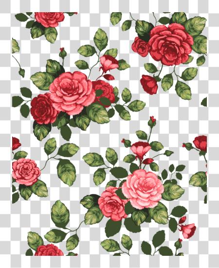 Download flor Wallpaper flor iphone Wallpaper dibujo Beautiful rosa Flowers PNG file