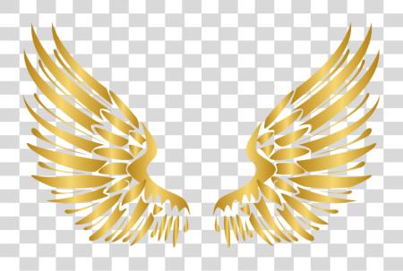 Download alas oro Wing ángel Angels Angelwings Angelwing Golde alas vector PNG file