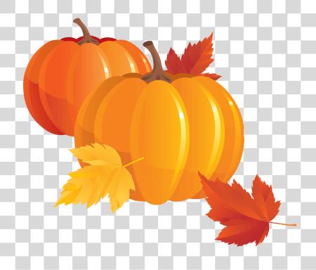 تحميل Fall Pumpkin Pumpkin بي ان جي ملف