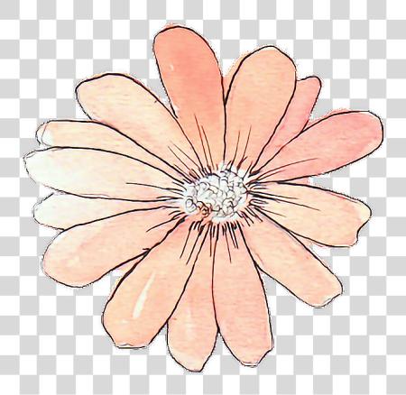 Download 606 X 588 1 0 Flower Tumblr Stickers PNG file