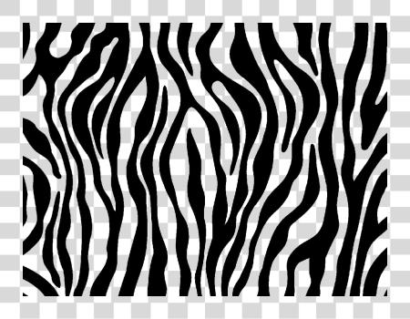 Download Zebra Print Zebra Print PNG file