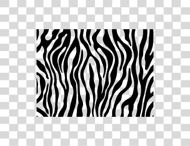 下载 Zebra Print Zebra Print Clip 艺术