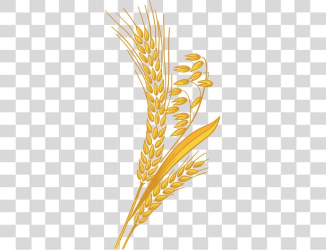 Download Wheat Clip Art