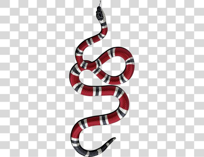 Download Image Result For Gucci Snake Http Funda Gucci Iphone Xs Clip Art