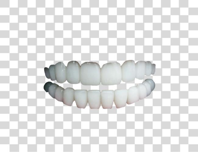 下载 人类 Teeth No Gums 背景 Teeth Clip 艺术