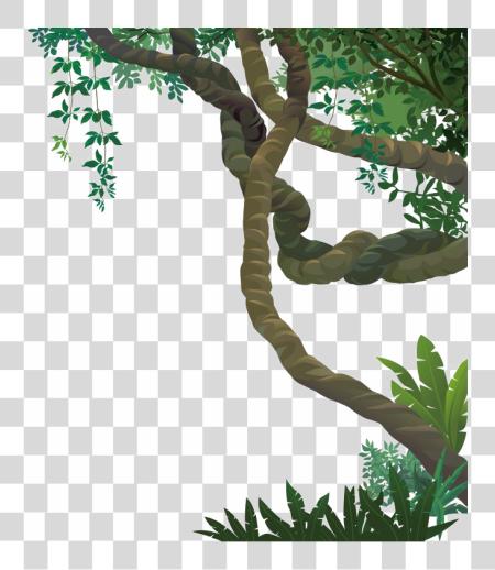 Download Jungle Vines File Forest Vines PNG file