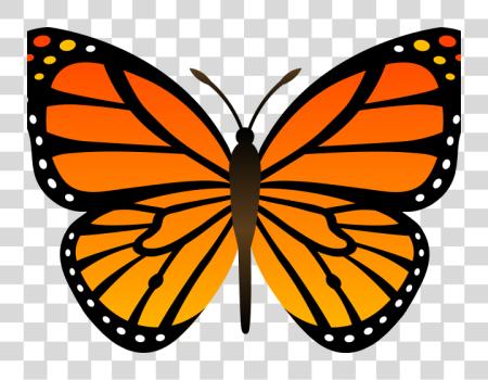 Download Butterfly Cliparts Happy Butterfly PNG file