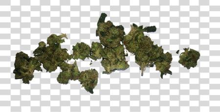 下载 包 Of Weed Weed Bud PNG file