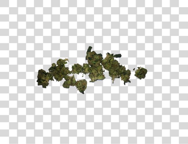 Download Bag Of Weed Weed Bud Clip Art