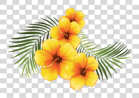 下载 黄色 Hibiscus 花 矢量 皇室 Tropical Flowers 背景 PNG file