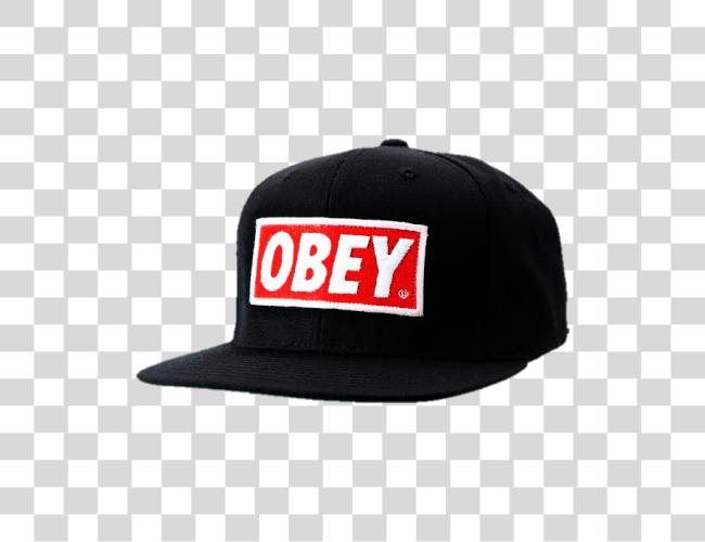 Download obey mlg cap Mlg Obey Hat Clip Art