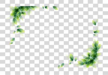 Download Flower Corner Border PNG file