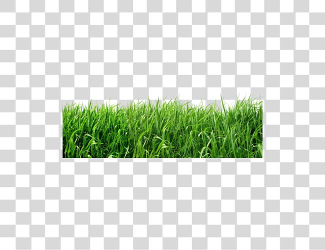 Download Grass Clip Art