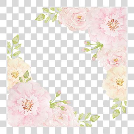 下载 粉红色 Rose Borders Flowers Beach 粉红色 Flowers Border PNG file