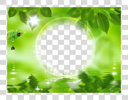 Download naturaleza Frames naturaleza verde hoja natural PNG file