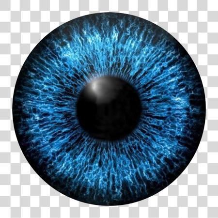 تحميل أزرق عيون Eye Sticker بواسطة Rajon Ahmed Iris Eye بي ان جي ملف