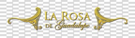 Download La Rosa De Guadalupe netflix cocodrilo PNG file