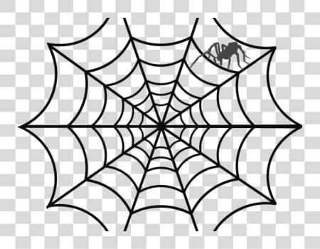 下载 繪製 蜘蛛 Web 详细 Spiderman Web PNG file