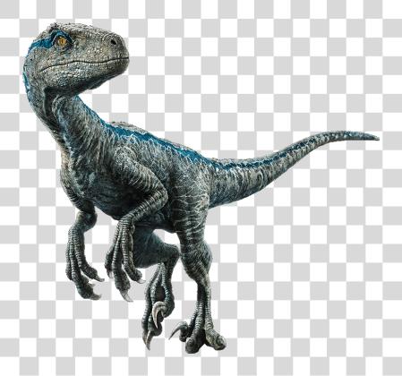 Download Blue The Velociraptor V4 By Sonichedgehog2 Velociraptor Blue PNG file