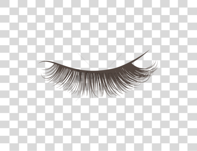 Download Eyelash Lashes Clip Art