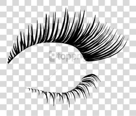 下载 Eyelash Eyelashes 为了 Photoshop PNG file