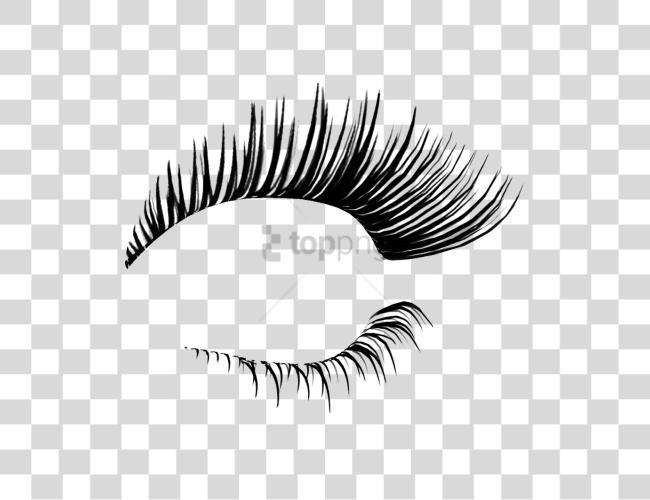 Download Eyelash Eyelashes For Photoshop Clip Art