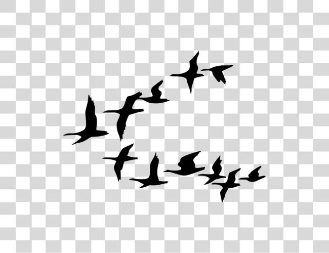 Download Flying Birds Clip Art