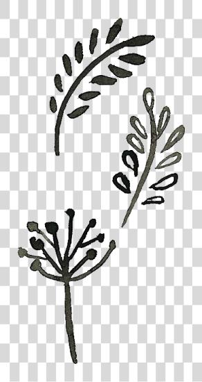 Download Doodle Drawing Visual Arts Plant Image Black Doodles PNG file