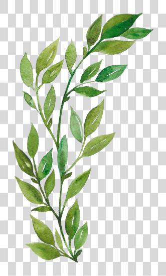 Download H916 Watercolor Leaves Watercolor Art Plant Aesthetic Gambar Dedaunan Kartun PNG file